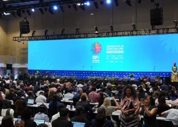 | VISIÓN INTERCULTURAL | DERECHOS INDÍGENAS EN COP16. Biodiversidad después del martes 5 de noviembre