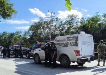 COZUMEL: Encuentran cuerpo de mujer en la carretera transversal