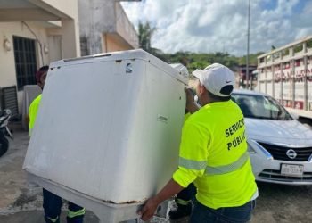 Concluye jornada especial de descacharrización en Isla Mujeres