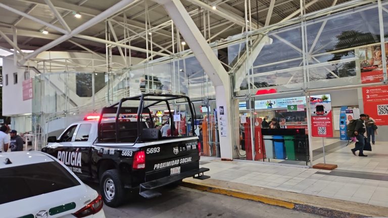 plazas comerciales policias