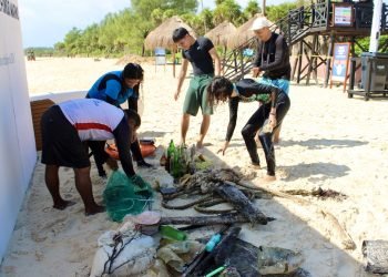 Limpieza fondo marino