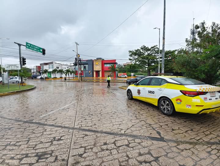 tránsito