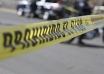 México registra reducción del 18.4% en homicidios desde 2018: SSPC