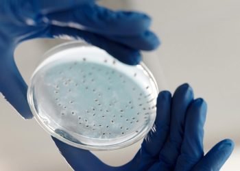 Mueren en México 17 bebés por brote de Klebsiella oxytoca
