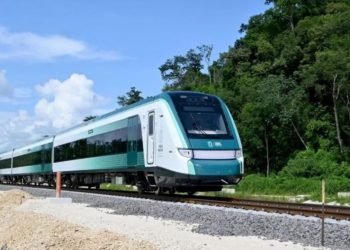 TREN MAYA: Sedena clasifica a jaguares y venados como fauna «nociva»