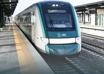 TREN MAYA: Greenpeace cuestiona presunta «protección ambiental» y «turismo sustentable»