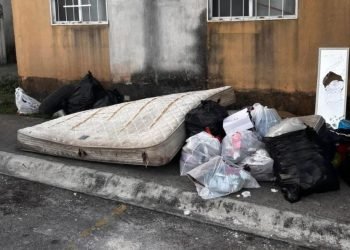 PUERTO MORELOS: Colonias y fraccionamientos “inundados” de basura