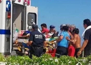 HERIDO EN UNA PIERNA: Ataca cocodrilo a turista en playa de Cozumel