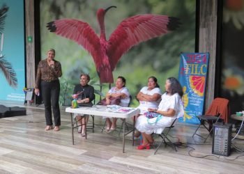 SIN HÁBITO DE LECTURA: Quintana Roo, con un rezago cultural de 30 años