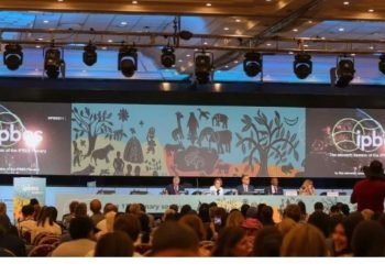 |VISIÓN INTERCULTURAL| El planeta está en peligro: Informe del IPBES presenta opciones para detener el colapso de la biodiversidad