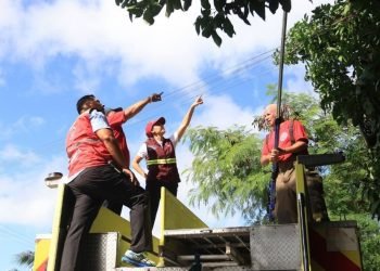 DURANTE 2024: Reporta y Aporta atiende más de 16 mil solicitudes en BJ