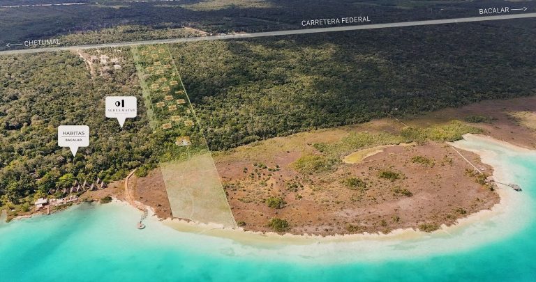 bacalar