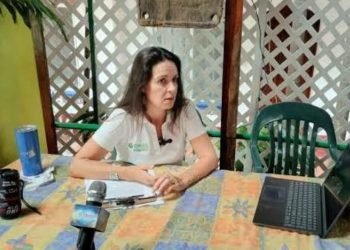 ANOTACIÓN REGISTRAL: Aplican medida precautoria contra desarrollo ilegal en Tulum