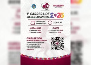 ISLA MUJERES: Promueven Primera Carrera de Bienestar Animal