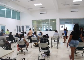 Realizan campaña de esterilización de mascotas en Zona Continental de Isla Mujeres