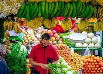 INEGI: Chetumal, entre las 10 ciudades con mayor inflación en el país