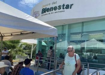 VÍCTIMAS DE FAMILIARES: Reportan al menos 20 casos de robo de apoyos a adultos mayores