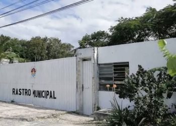 rastro municipal