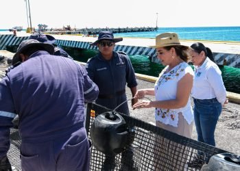 Impulsan creación del Centro Integral de Saneamiento y Economía Circular del Sargazo