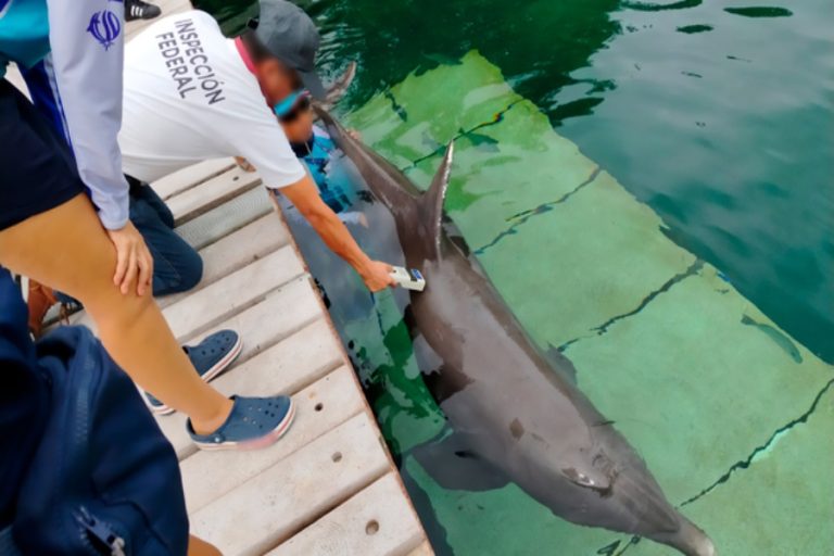 delfinarios