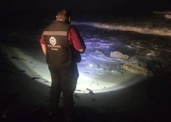 NINGUNA AFECTACIÓN: Monitorea Protección Civil costas de QR tras sismo