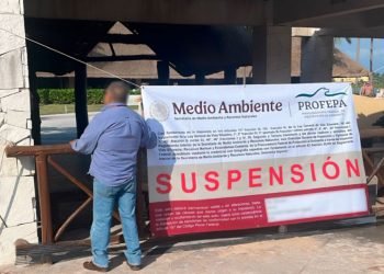 Celebra protectora de animales suspensión de delfinario en hotel Barceló