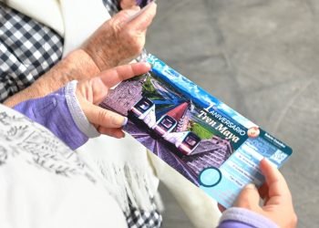 TREN MAYA: Celebra “Sélvame del Tren” reconocimiento de daños ambientales por Semarnat