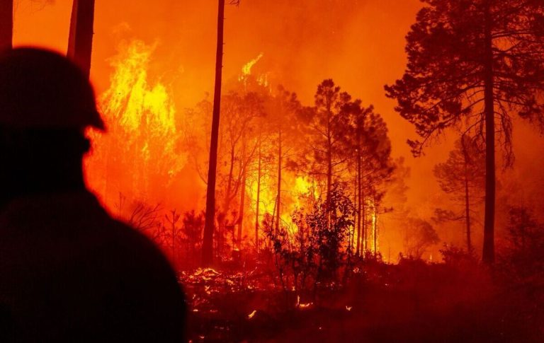 Incendios forestales en México