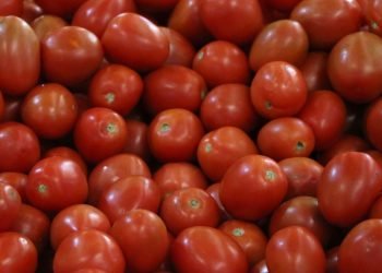 Jitomate mexicano: México rechaza dumping y busca acuerdo