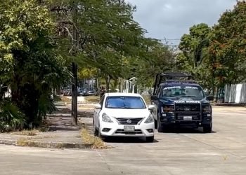 Hallan un cadáver en la rama de un árbol en un parque de la SM 27