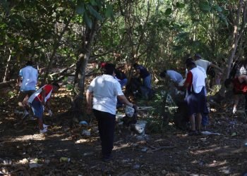 Realizan limpieza del borde de manglar en Puerto Juárez