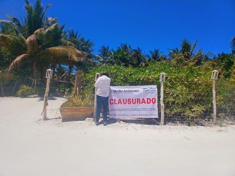 holbox