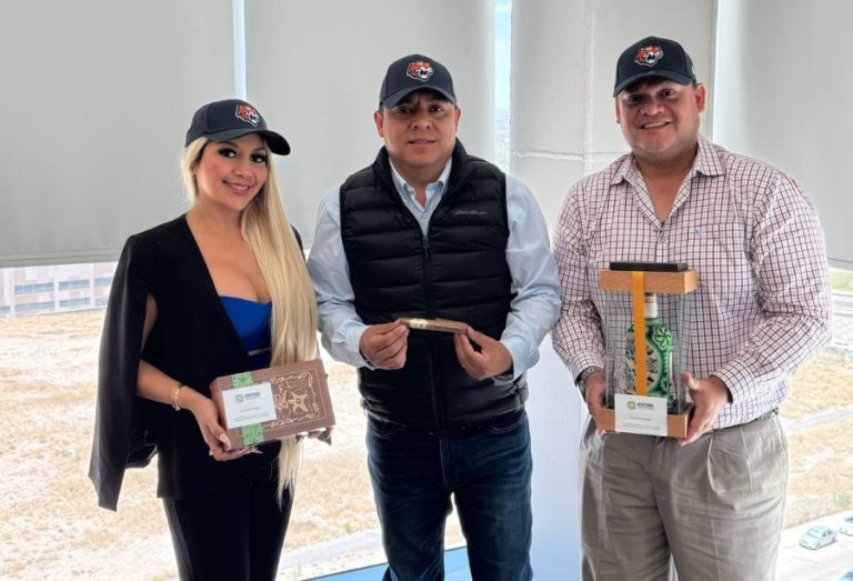 tigres de QR
