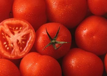 Jitomate mexicano en riesgo: CNA alerta por arancel del 20.91% de EE.UU.