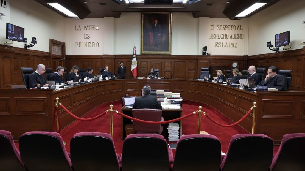Anula SCJN prisión por bienestar animal: ¿avance legal o retroceso ético?