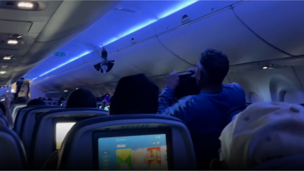 Palomas retrasan vuelo de Delta