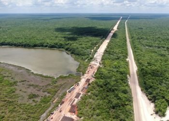 TREN MAYA: Advierten científicos que se acelerará la vulnerabilidad de la Península de Yucatán a eventos climáticos extremos