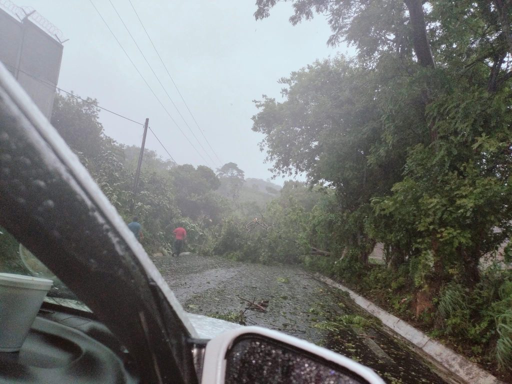 Avanza restauración carreteras Guerrero y Oaxaca tras Erick