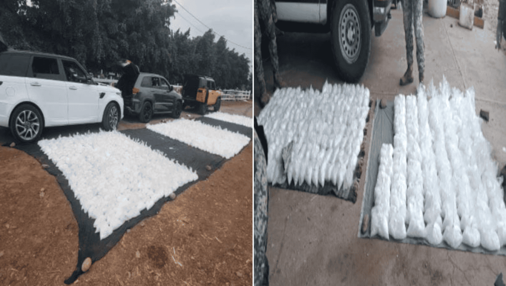 Golpe al crimen organizado: pérdidas millonarias tras mega-operativos