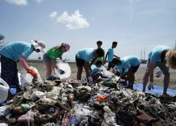 | CAMINOS DEL MAYAB | Municipios omisos al cumplir la ley de reciclaje