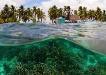 | CAMINOS DEL MAYAB | Quintana Roo en peligro ante el cambio de climático