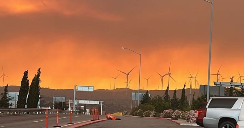 Incendios en Tecate devoran 8 mil hectáreas: El estado lucha