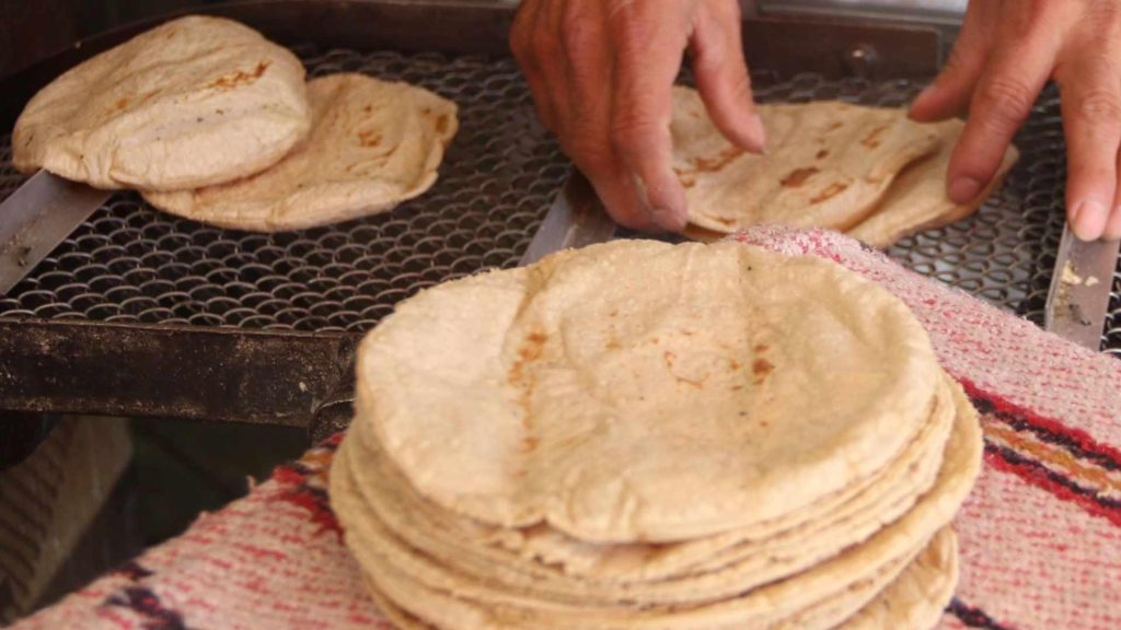Precio de la tortilla: Sheinbaum anuncia acuerdo con harineras para evitar alza