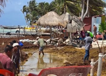 | VISIÓN INTERCULTURAL | El nacionalismo, la globalización y el sargazo