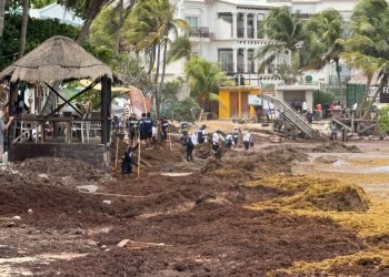 Activan Plan Marina por crisis del sargazo en Playa del Carmen (VIDEO)