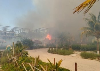 Incendio en restaurante de Holbox se propaga a hotel, guardería y refugio de animales