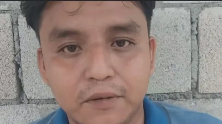 periodista