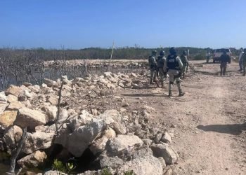 Devastación de manglares en municipio costero del oriente de Yucatán