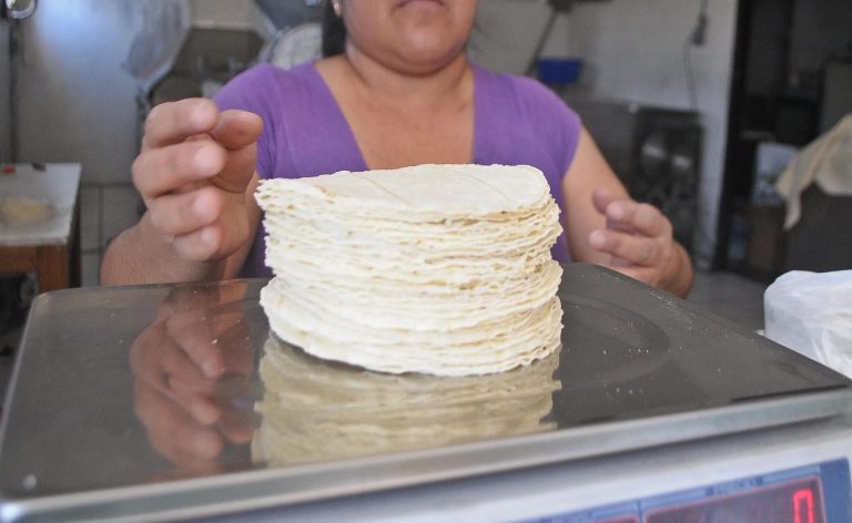 Acuerdo nacional maíz–tortilla: abren inscripción para estabilizar el precio esencial