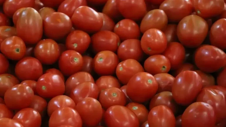 Arancel jitomate mexicano: EU impone cuota de 17.09%